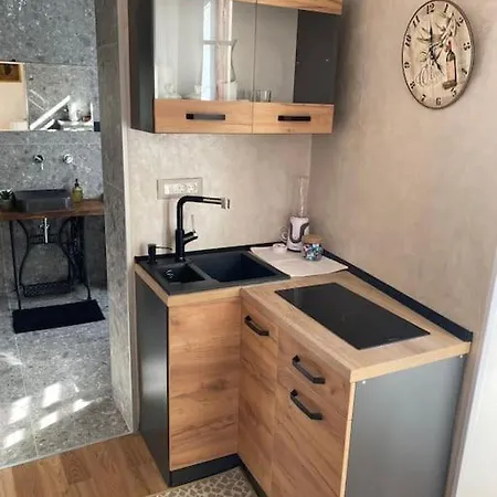 Apartment Casa Manzoni Old Town-novigrad 20 M From The Sea